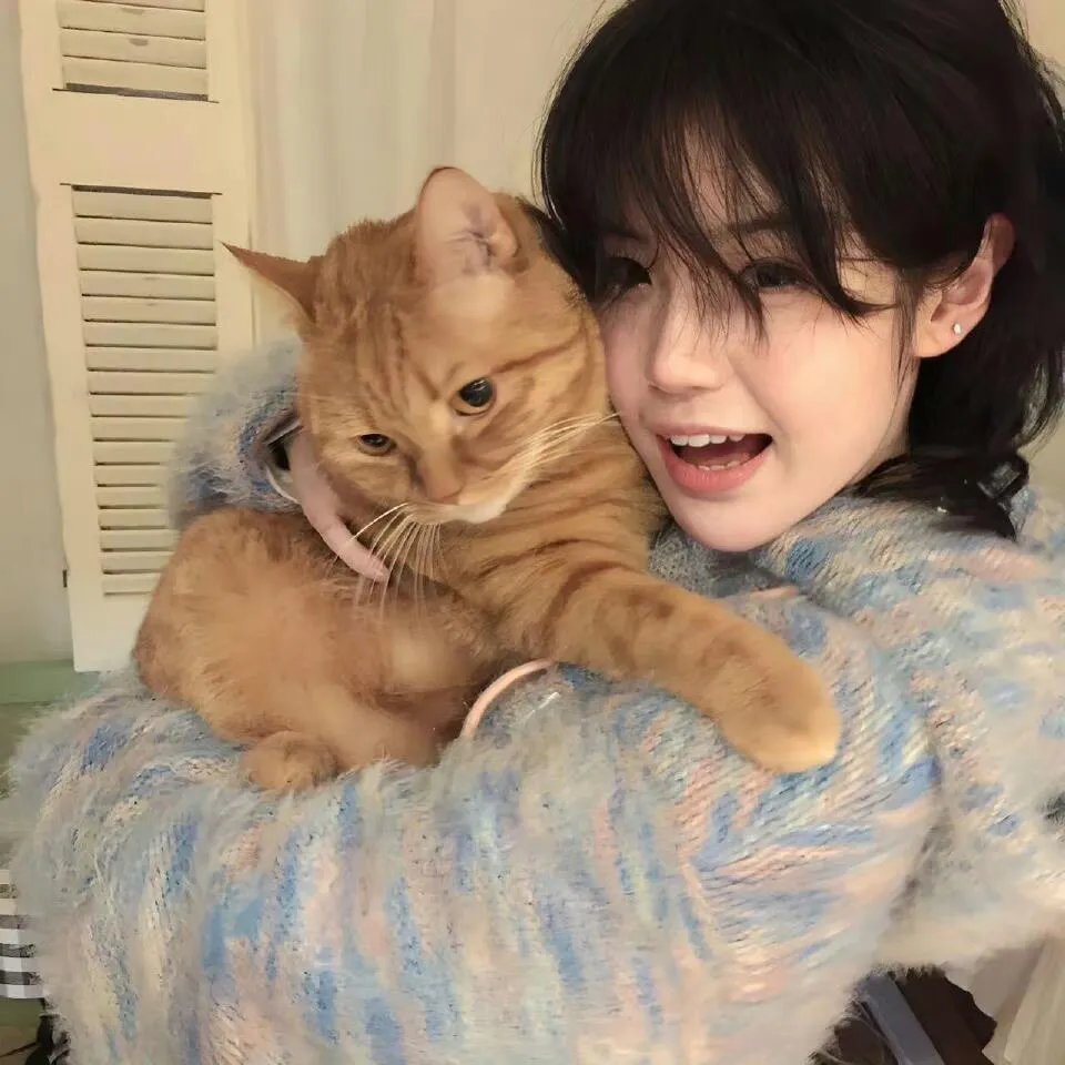 玉骨遥